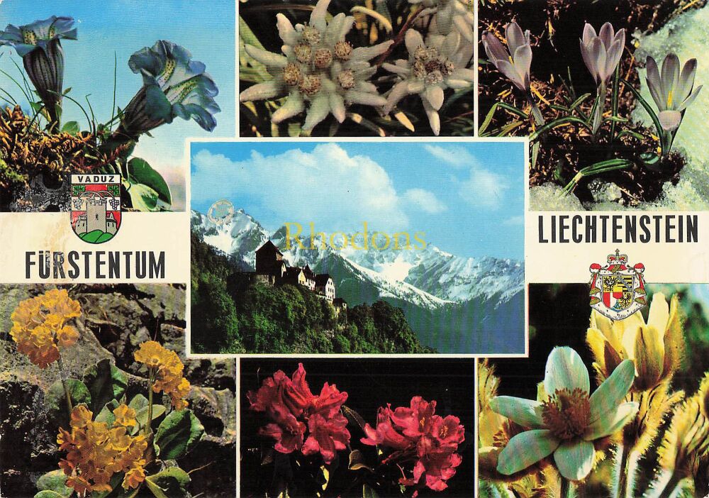 Liechtenstein Postcard-Castle of Vaduz and Falknis Principality of Lichenstein-Multiview Colour PC