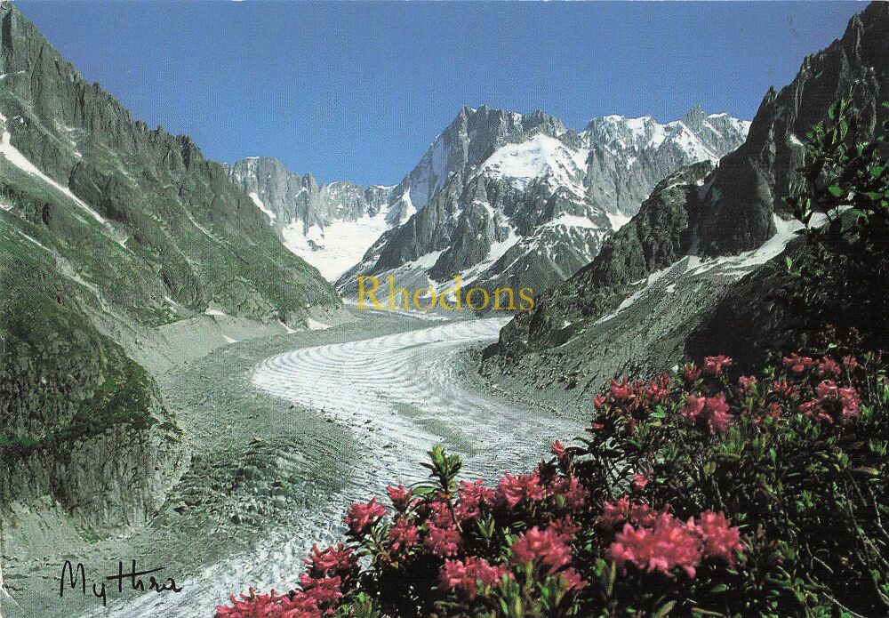 France Postcard-Mountain View-Massif du Mont Blanc and Glacier-Circa 1990s Colour Photo PC
