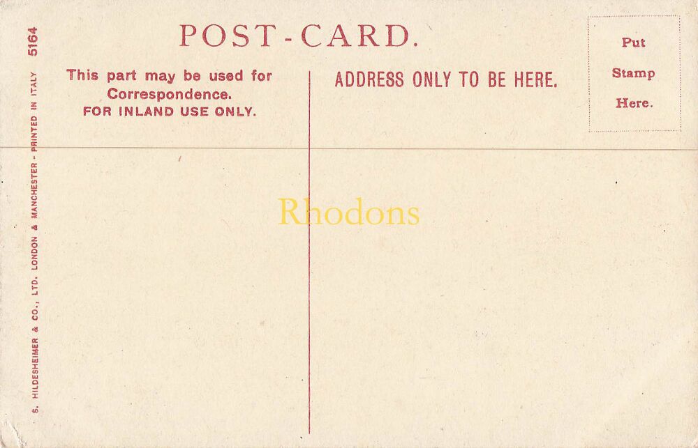 Italy Postcard- Roman Ampitheatre Pompei, Italy- Early 1900s Hildesheimer Art PC