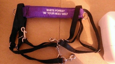 White Forest At Your Heel Belt