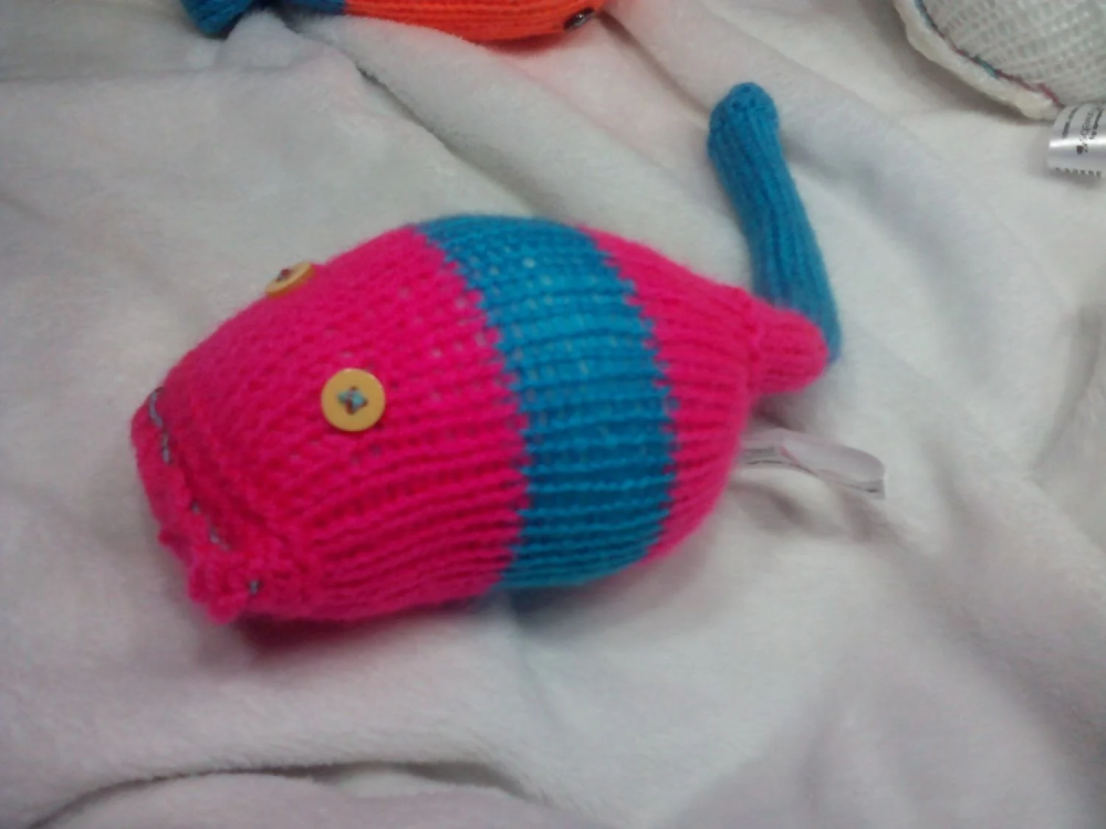 Vibrant Pink with Blue Banding with Yellow Eyes Midi Meeser