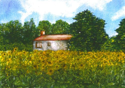 Greeting Card  'Sunflowers in Brittany'