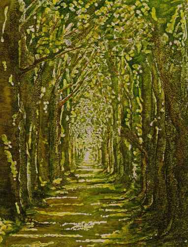 Greeting Card  'Avenue in Spring'