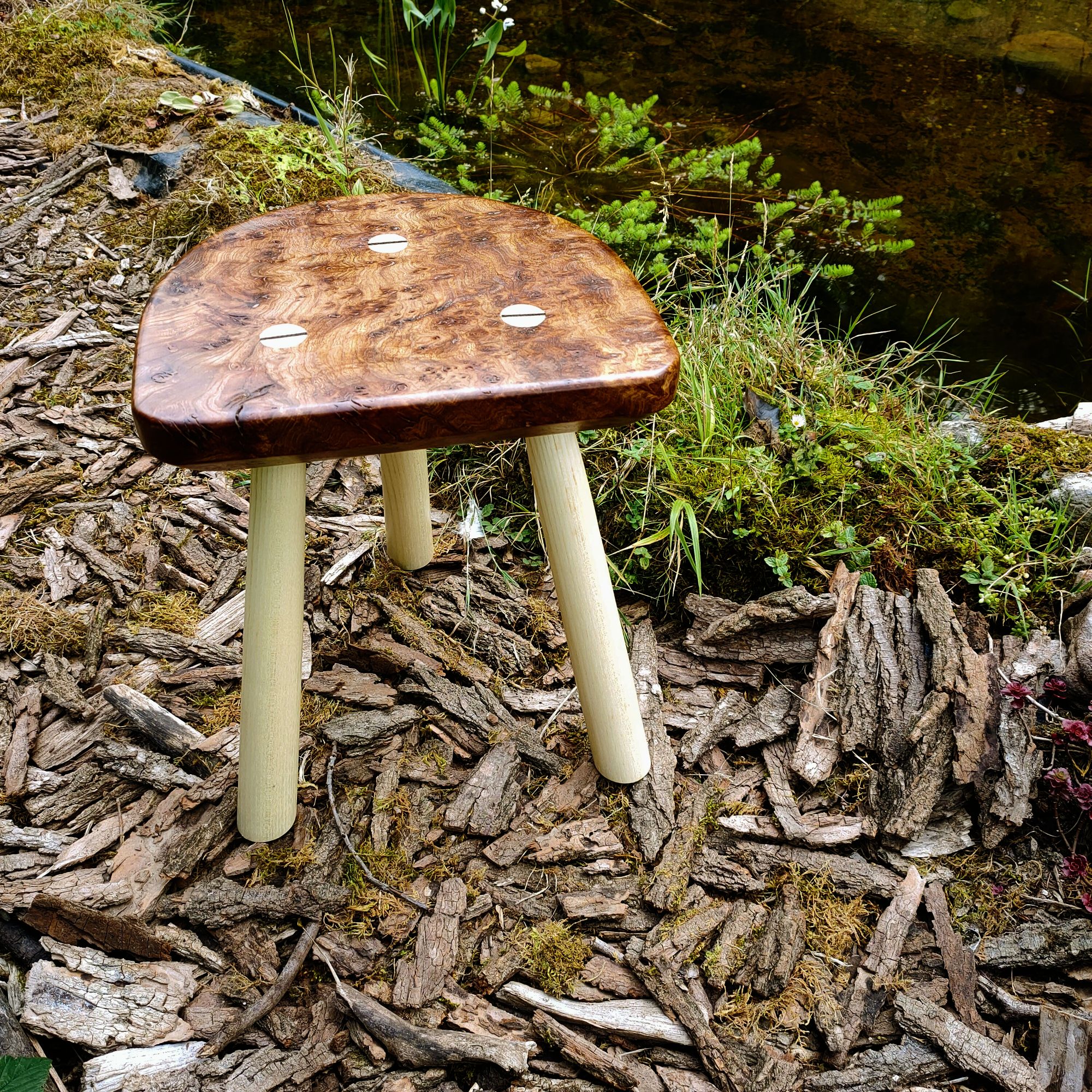Burr elm stool