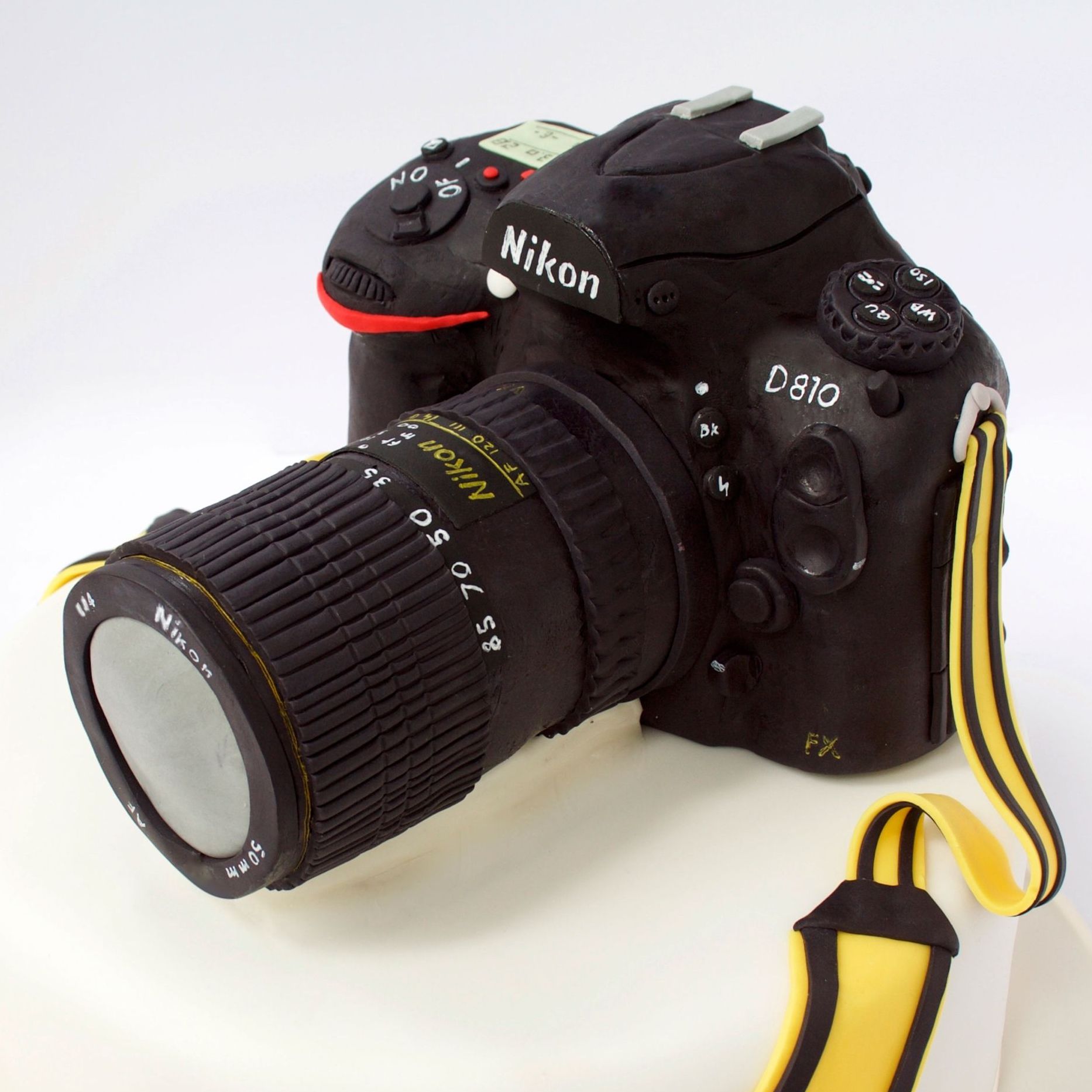 Nikon camera illusion cake