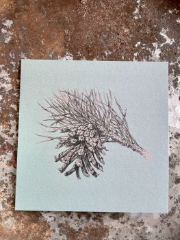 PINE SCENTED GREETING CARD
