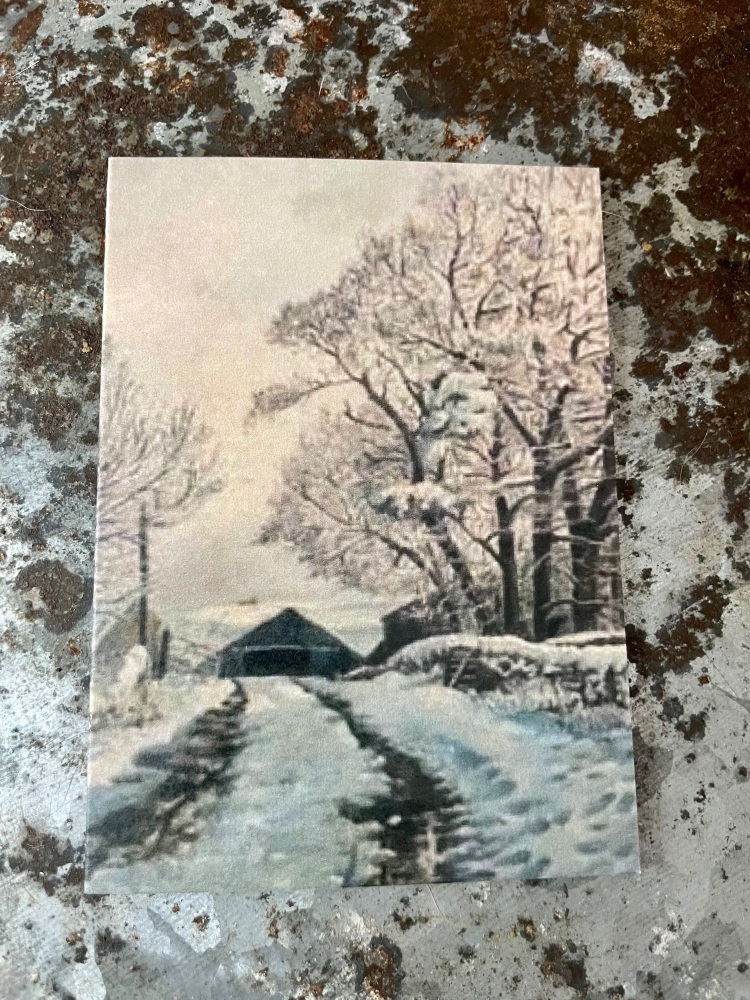 Winter Wonderland Greeting Card