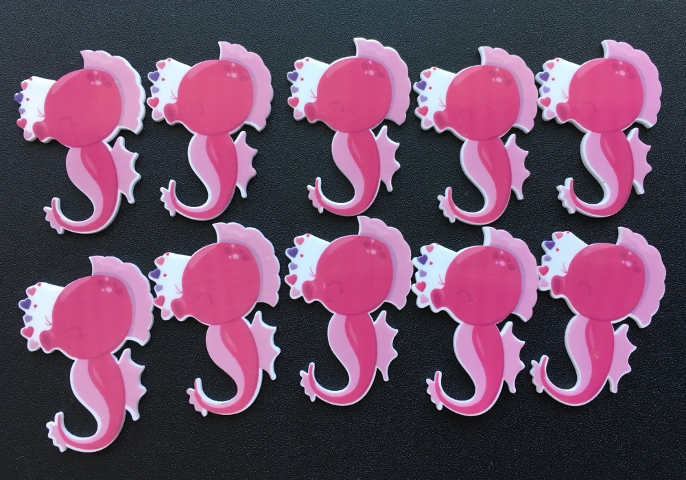 Seahorse Laser Resin *Seconds*