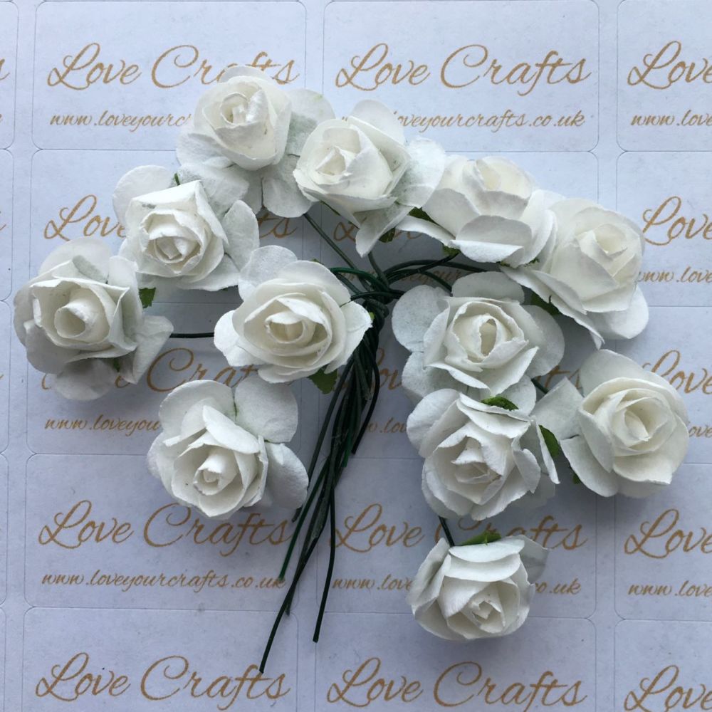 20mm Paper Flowers - White