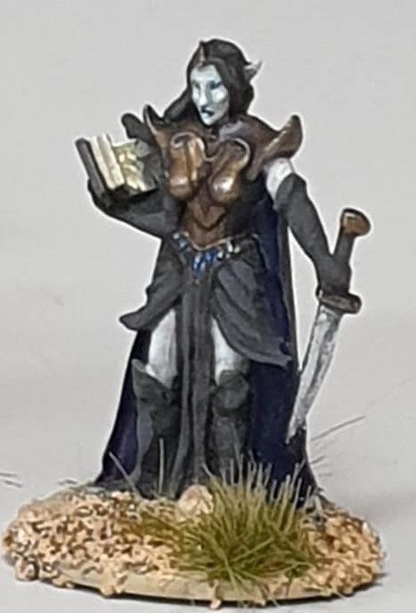 FAN04 Female Fighter and Elf Sorceress