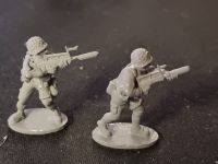 CWF02 French riflemen grenadiers