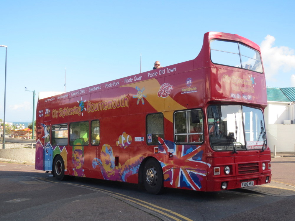 city sightseeing 31