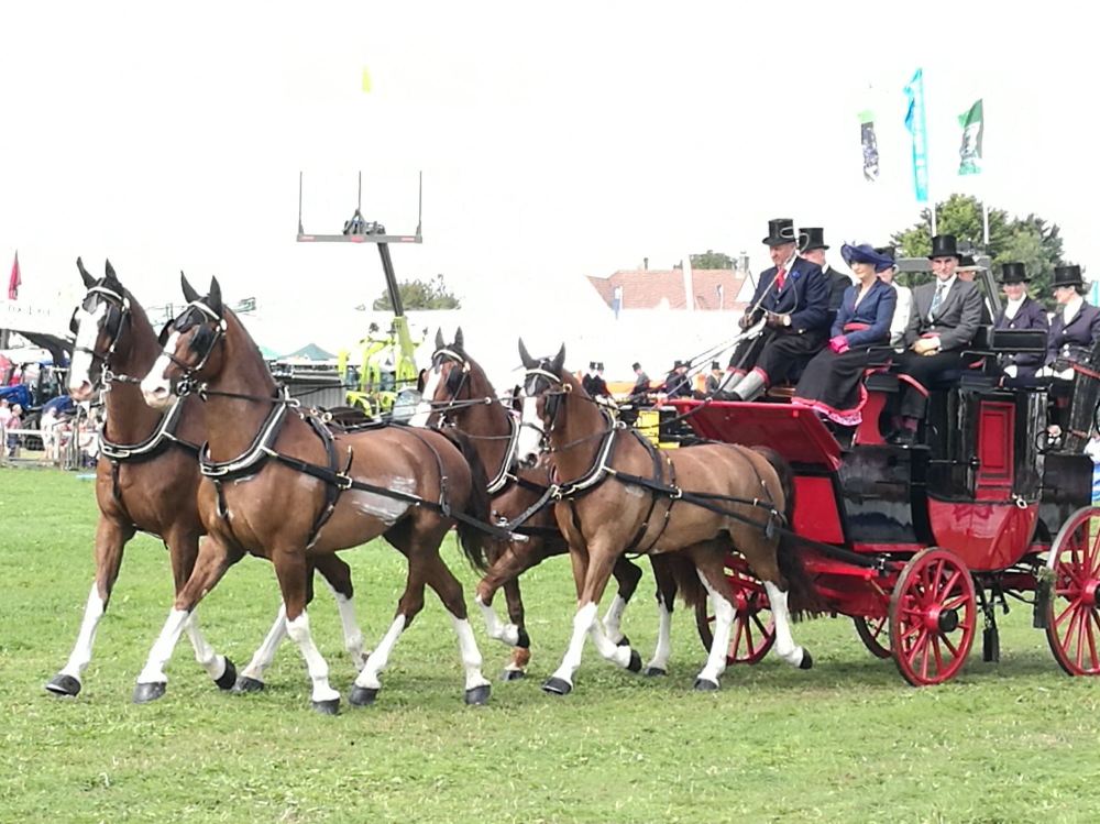 dorset county show 2018 24