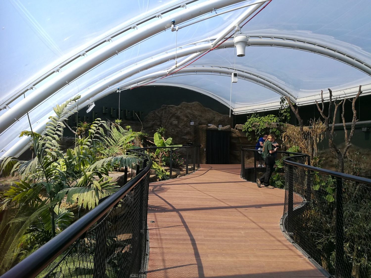 Exploring the new Tropical House at Marwell Zoo - Blog