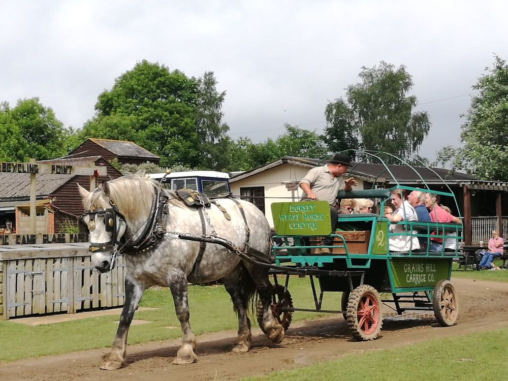 Family friendly attractions, museums and soft plays in South East Dorset