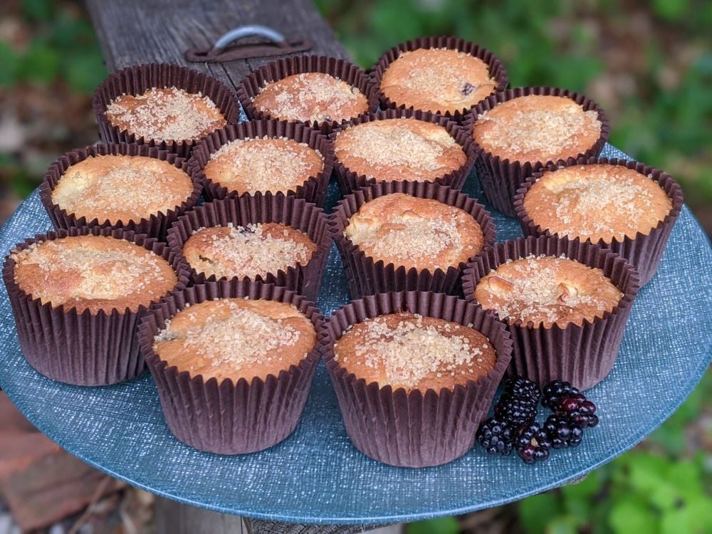 Apple and Blackberry Cupcakes Sept 2020