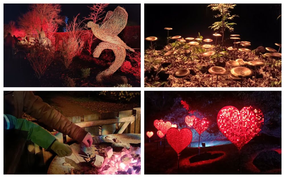 Be funky Kingston Lacy Christmas Lights 2