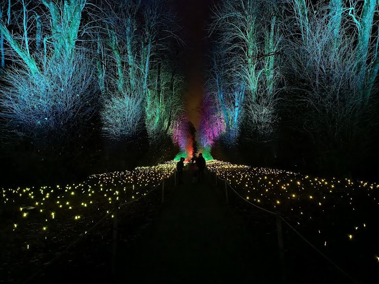 Kingston Lacy Christmas Lights 2022 20