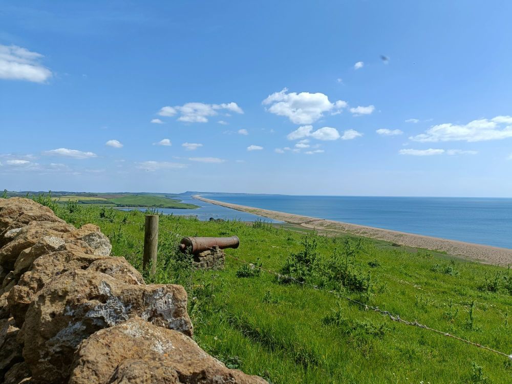 Abbotsbury Subtropical Gardens Visit May 2023 6