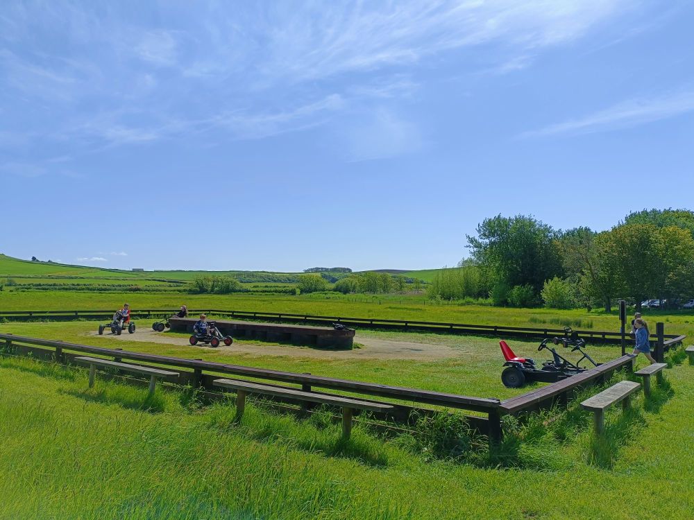 Abbotsbury Swannery Visit May 2023 1