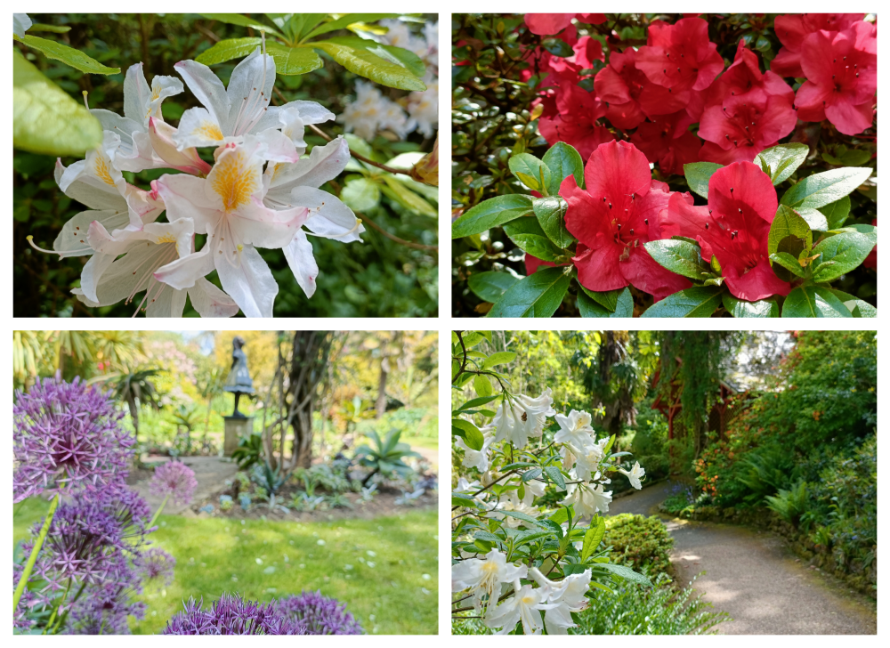 Abbotsbury Subtropical Gardens Collage 2023 1