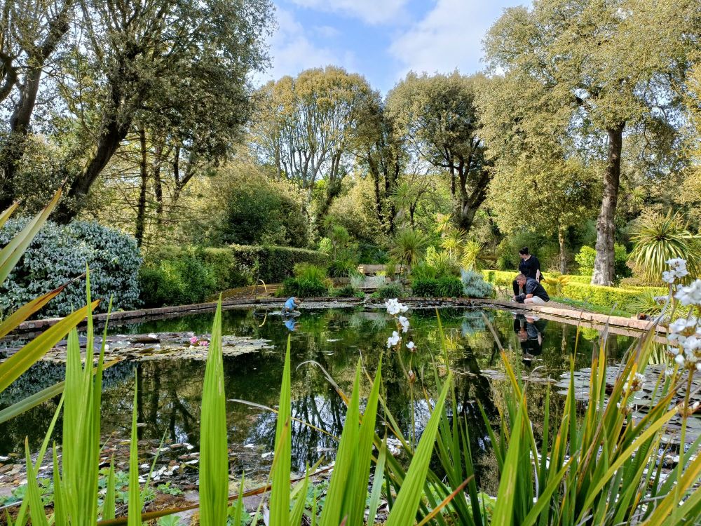 Abbotsbury Subtropical Gardens Visit May 2023 33