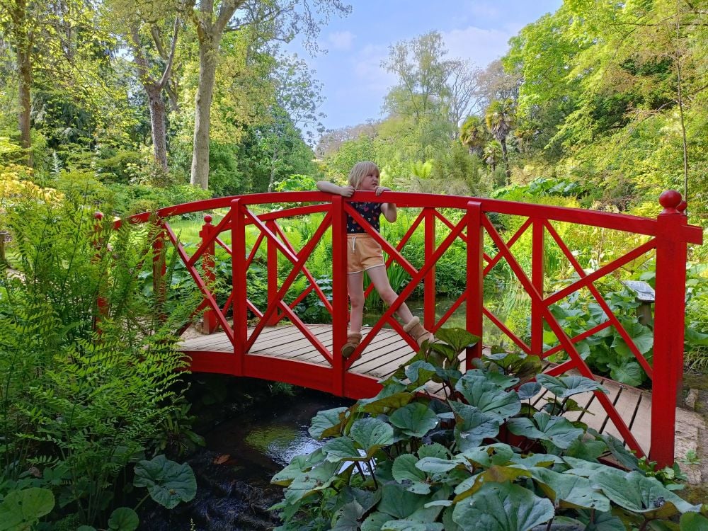 Abbotsbury Subtropical Gardens Visit May 2023 21