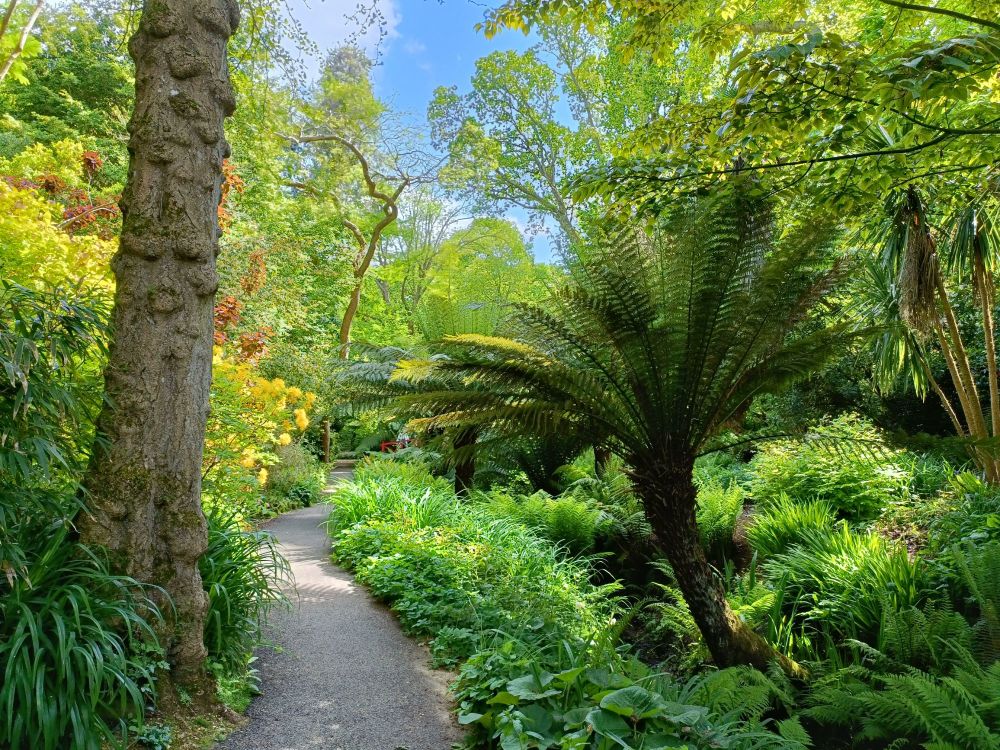 Abbotsbury Subtropical Gardens Visit May 2023 20