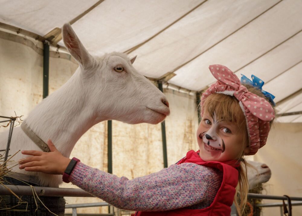 Dorset County Show Dorset Show 2019-1406