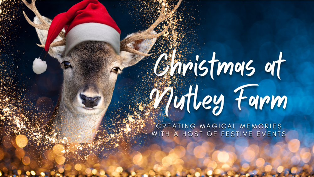 Christmas Nutley Farm 2023