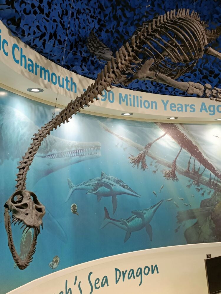 Charmouth Coast Heritage Centre Oct 2023 4