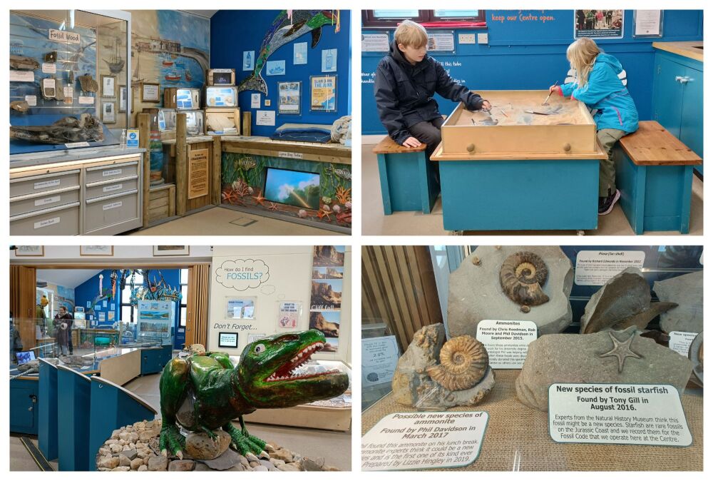 Charmouth Coast Heritage Centre Collage 1