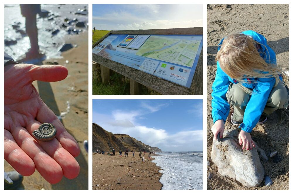 Charmouth Beach Collage