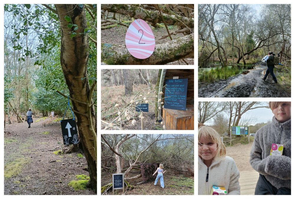 NATIONAL TRUST STUDLAND BEACH EASTER COLLAGE 3