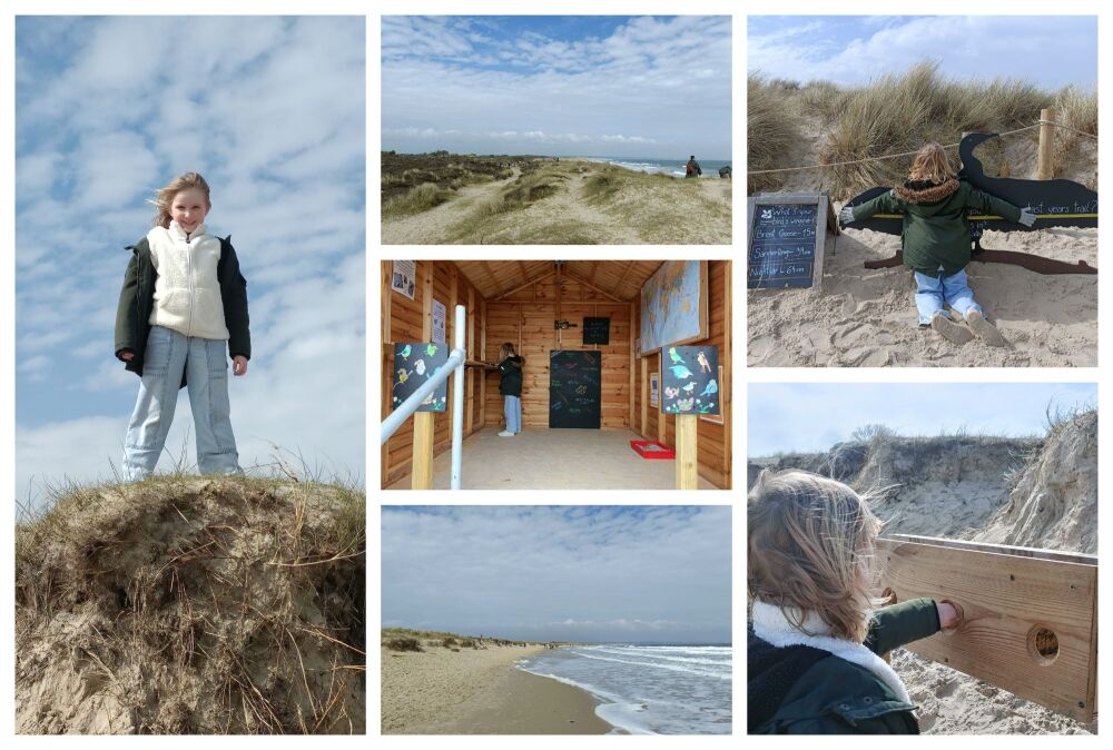 NATIONAL TRUST STUDLAND BEACH EASTER COLLAGE 1