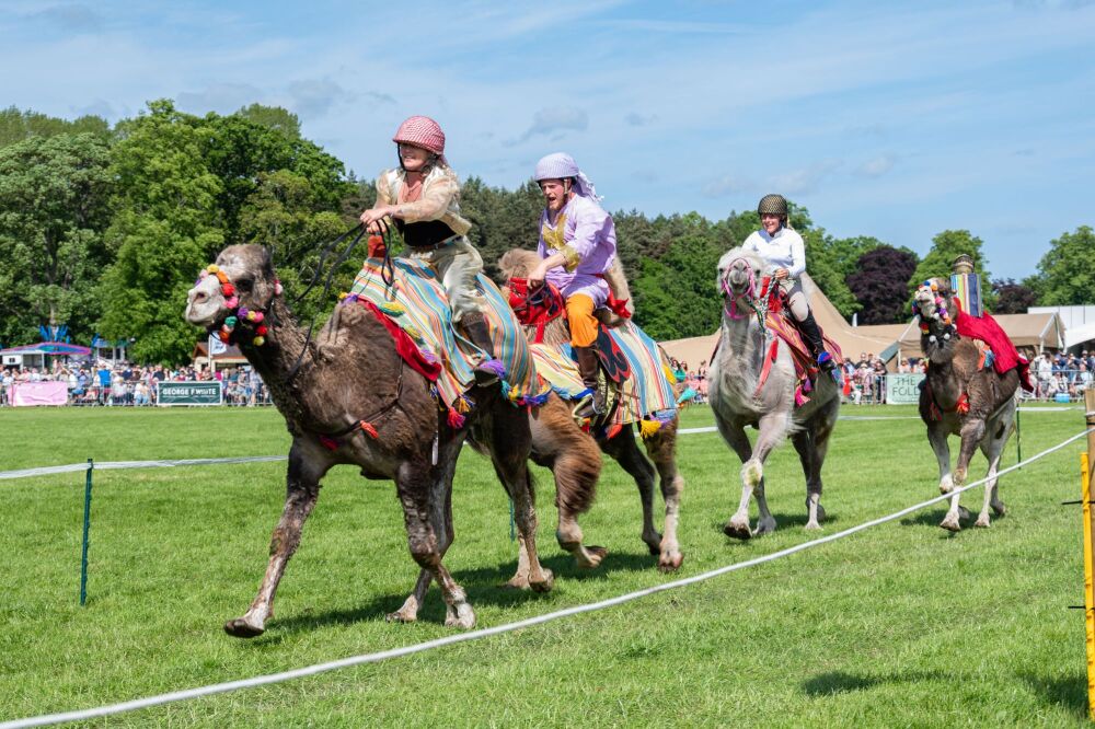 Gillingham and Shaftesbury Show 2