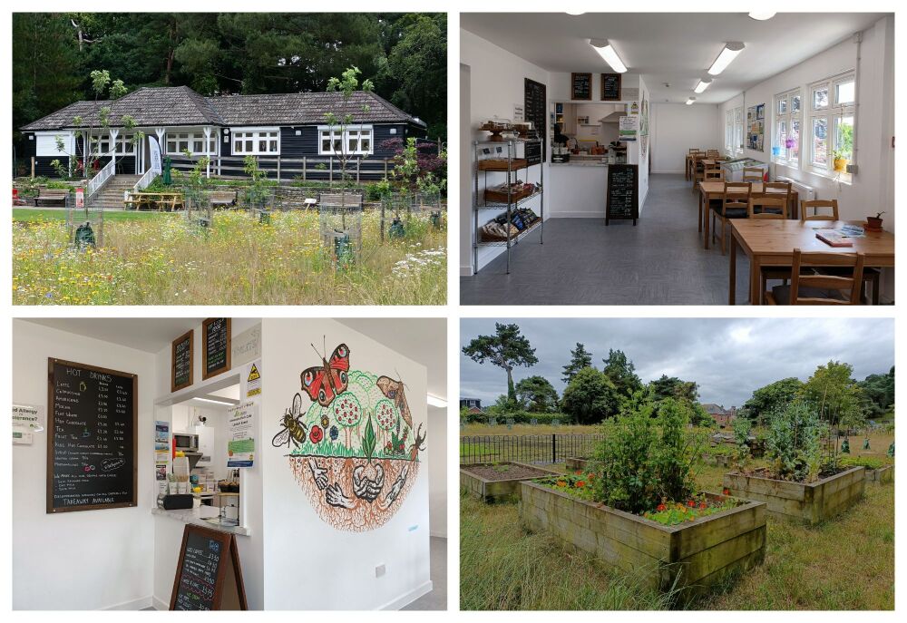 ALEXANDRA PARK POOLE BLOG COLLAGE 3