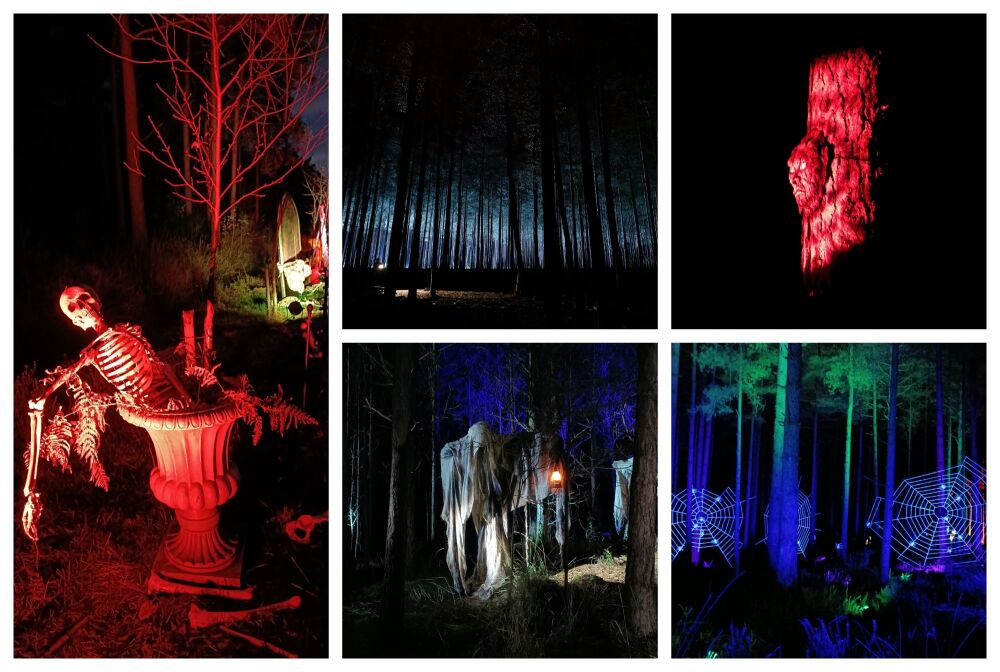 HALLOWEEN AT MOORS VALLEY BLOG 1
