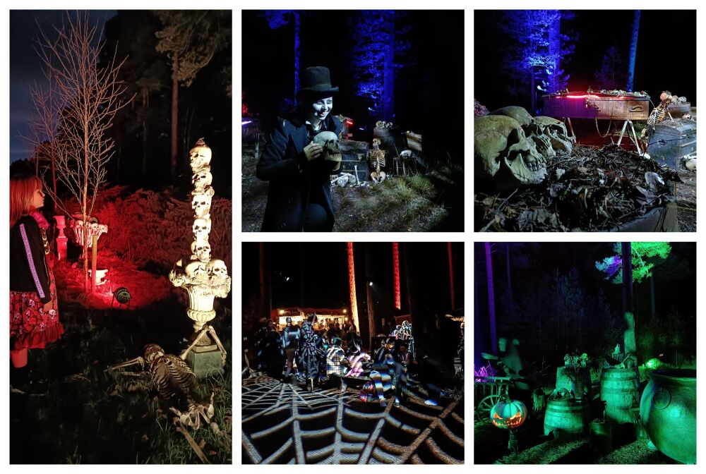 HALLOWEEN AT MOORS VALLEY BLOG 2