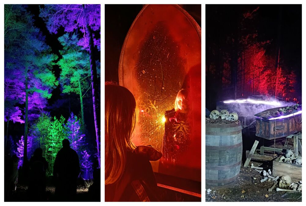 HALLOWEEN AT MOORS VALLEY BLOG 3