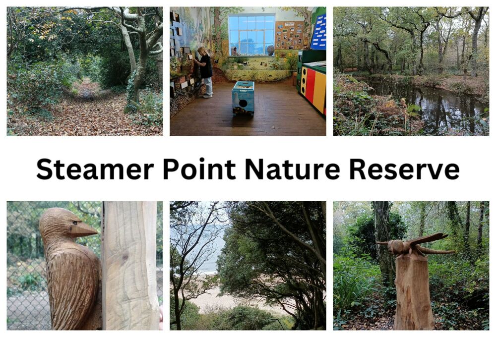 STEAMER POINT NATURE RESERVE CHRISTCHURCH
