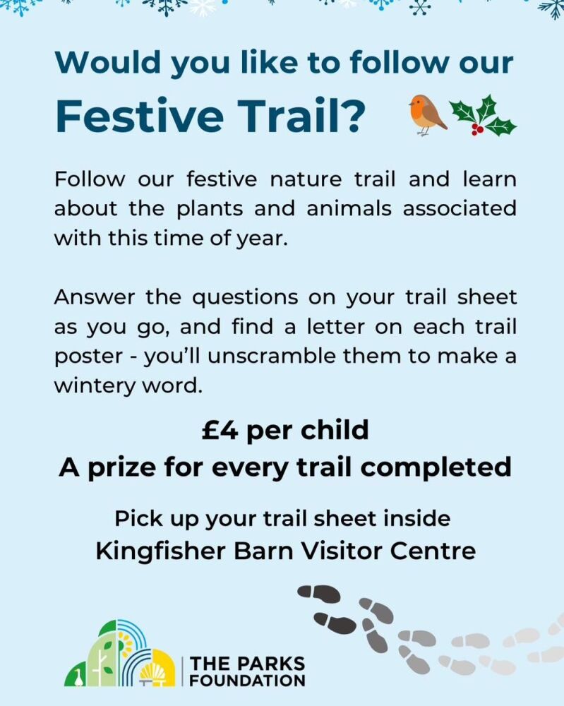 Dec Stour Valley Festive Trail 2024