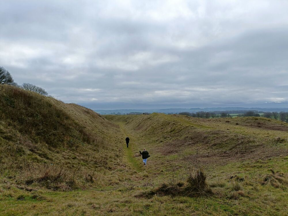 Badbury Rings Dec DM 2024 11