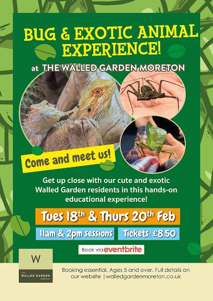 Feb 18 and 20 The Walled Garden Bugs 2025