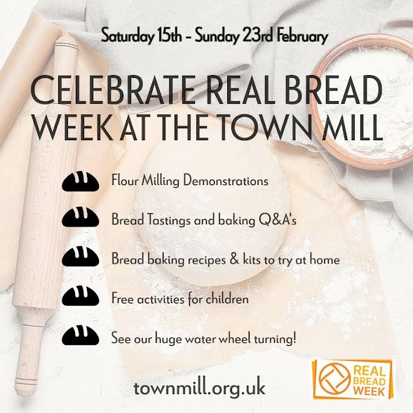 Feb half term Lyme Regis Town Mill 2025