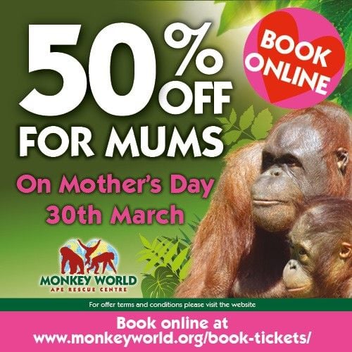 Mar 30 Monkey World mothers day 2025