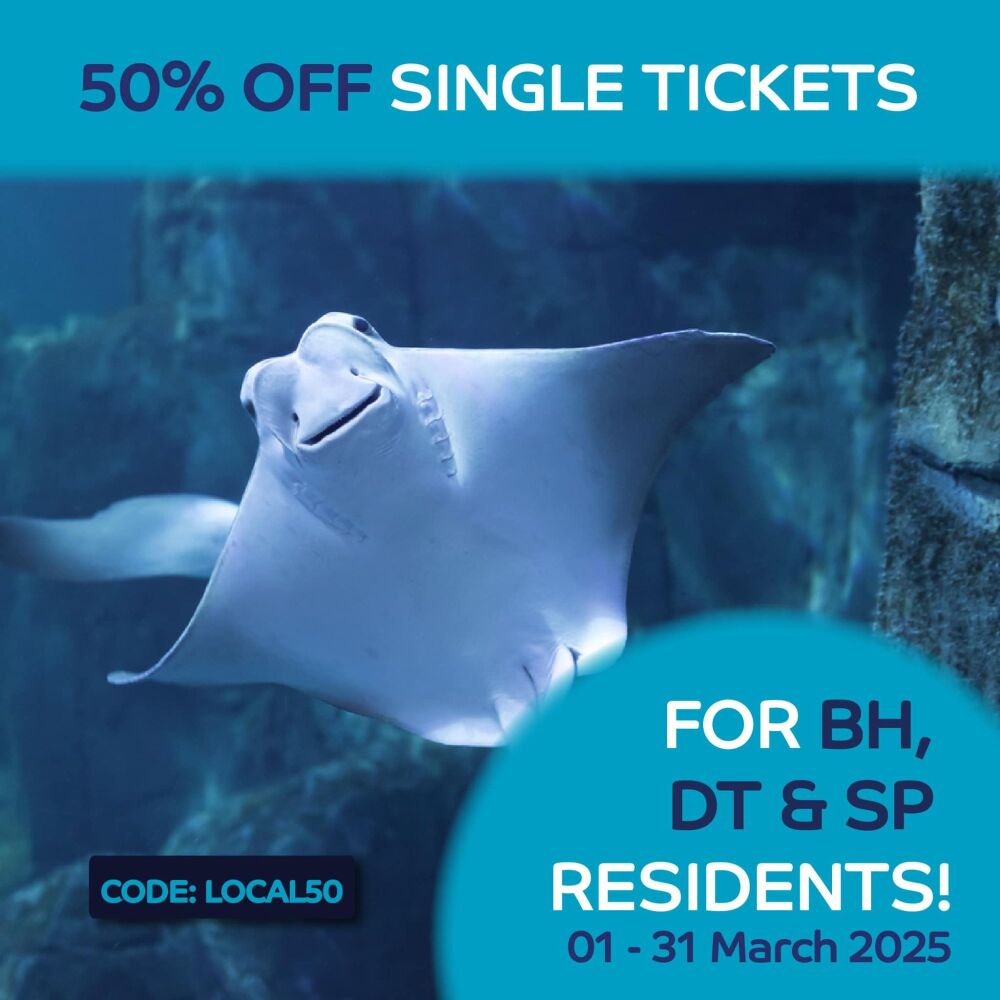 Mar Oceanarium offer 2025