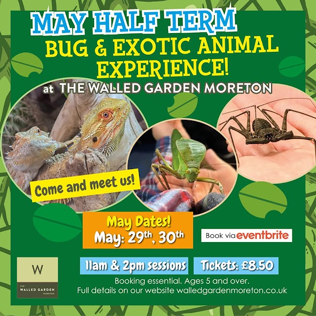 May 29 and 30 The Walled Garden Bugs 2025.jpg