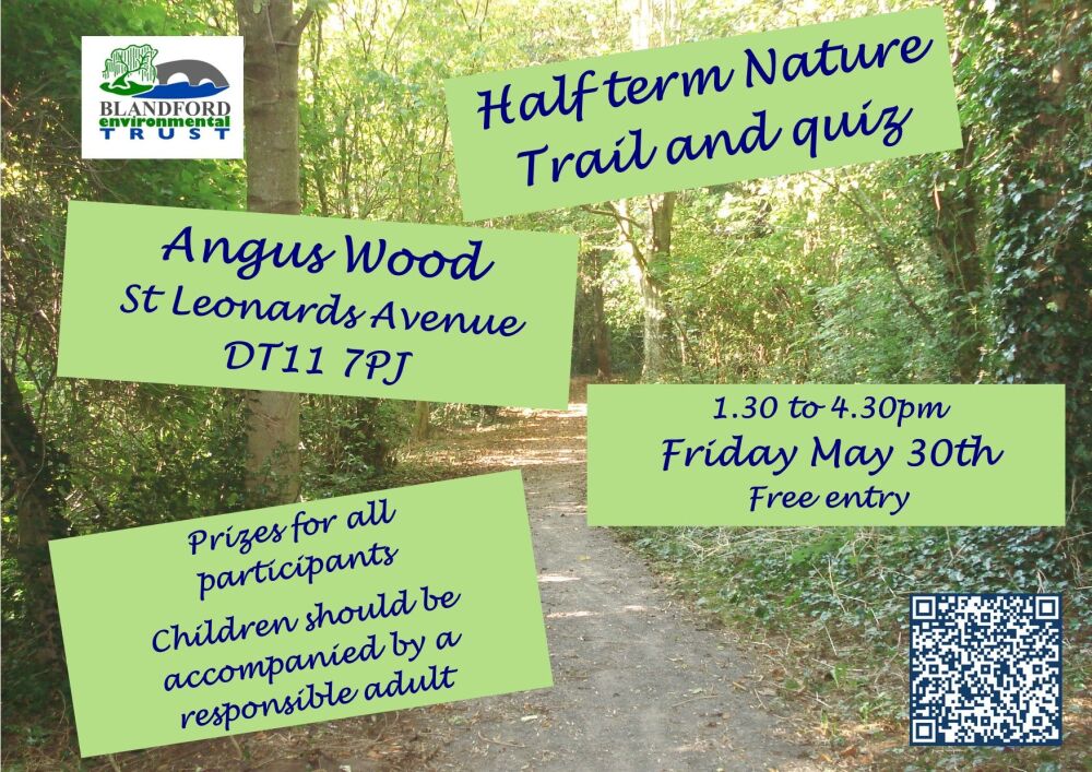 May 30 Angus Wood Trail 2025