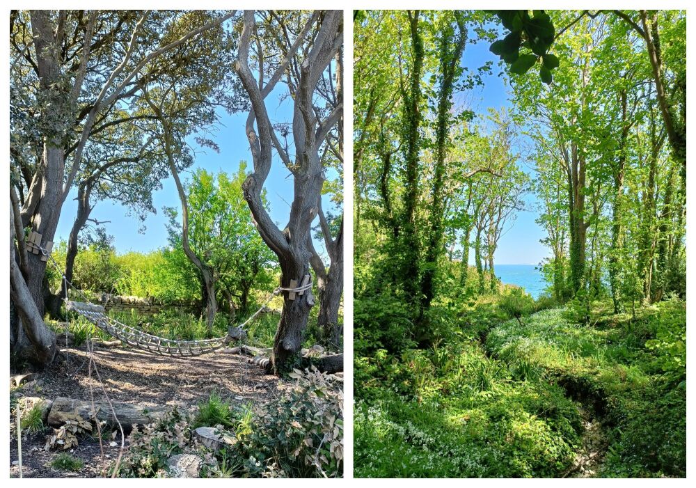 DURLSTON COUNTRY PARK WALK SWANAGE BLOG 2